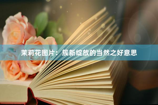 茉莉花图片：簇新绽放的当然之好意思